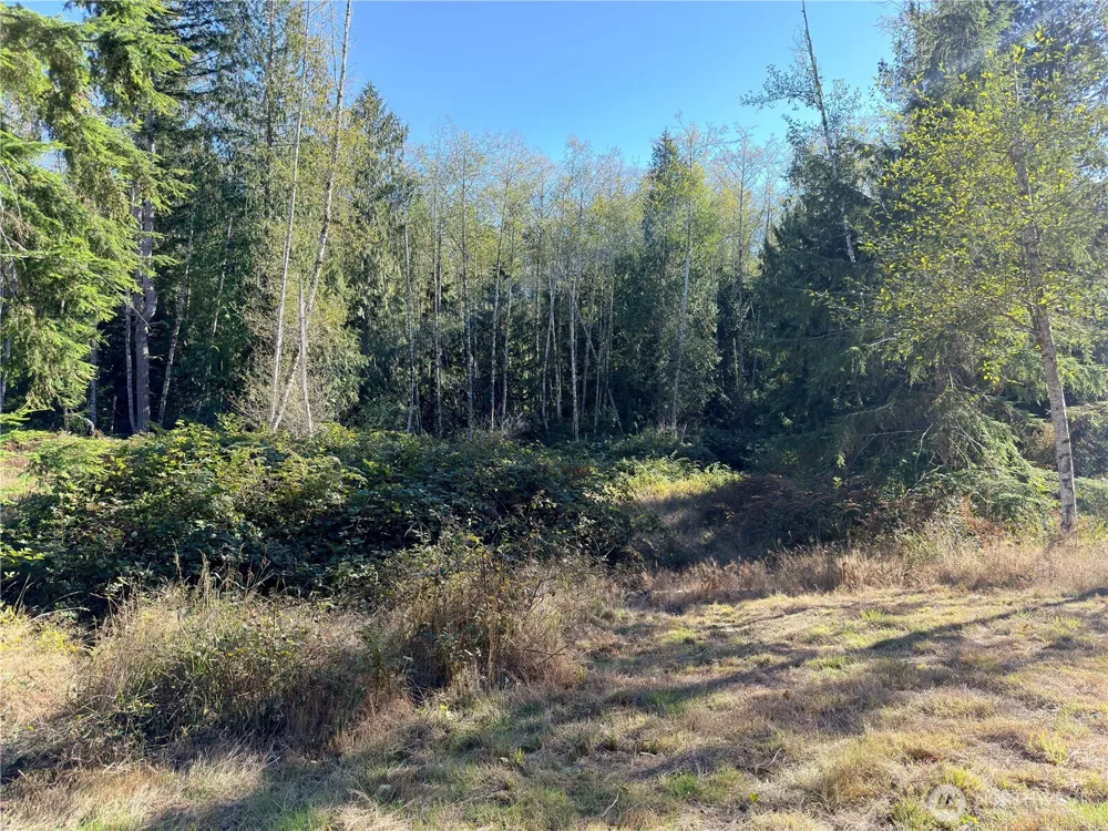 1 XXX Lee Valley Road Quilcene, WA 98376