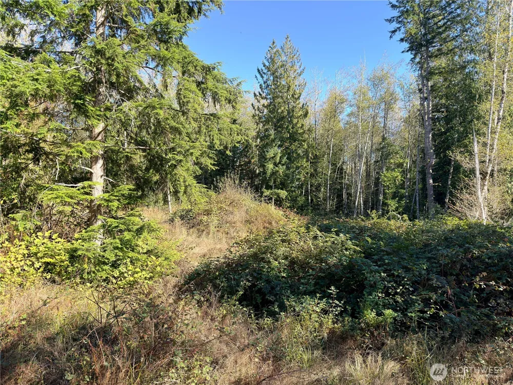 1 XXX Lee Valley Road Quilcene, WA 98376