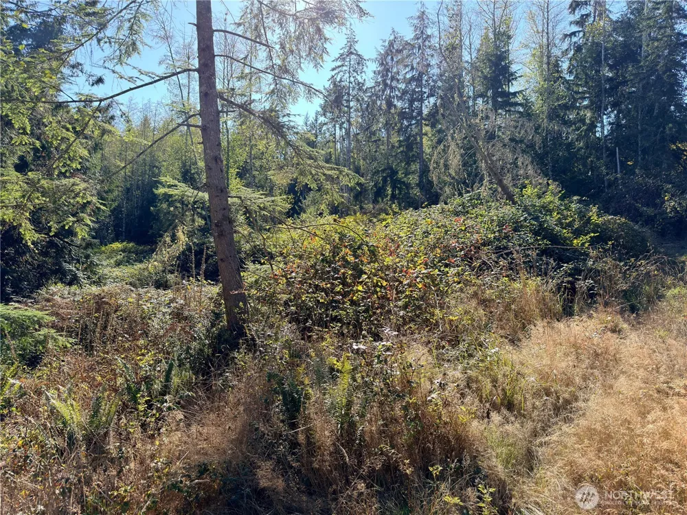 1 XXX Lee Valley Road Quilcene, WA 98376