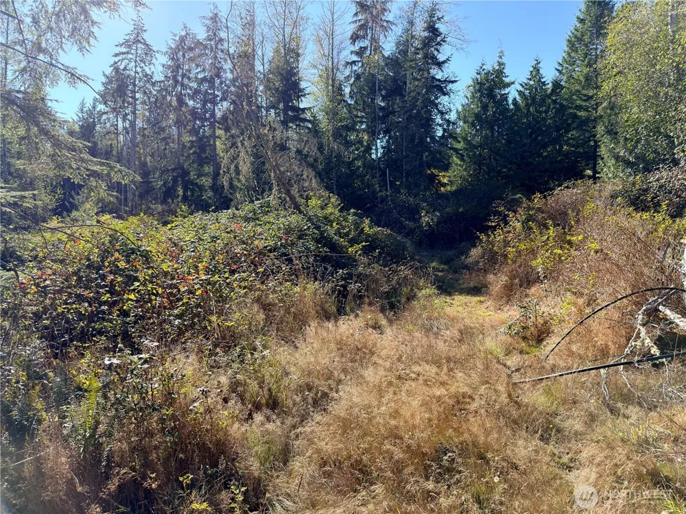 1 XXX Lee Valley Road Quilcene, WA 98376