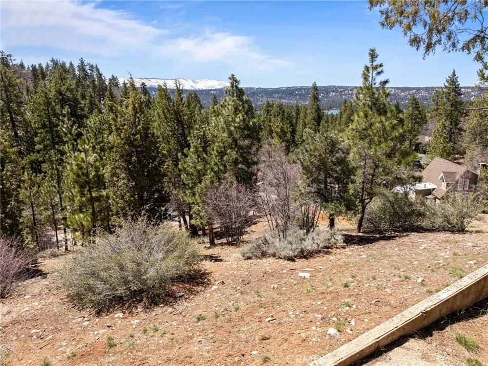 1125 Fawnskin Fawnskin, CA 92333