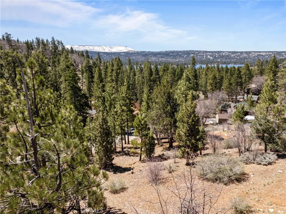 1125 Fawnskin Fawnskin, CA 92333