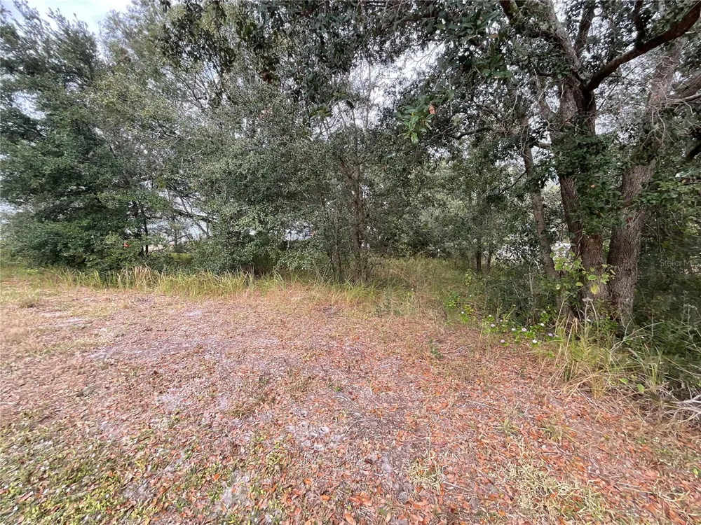 1701 SANFORD STREET Lake Wales, FL 33859