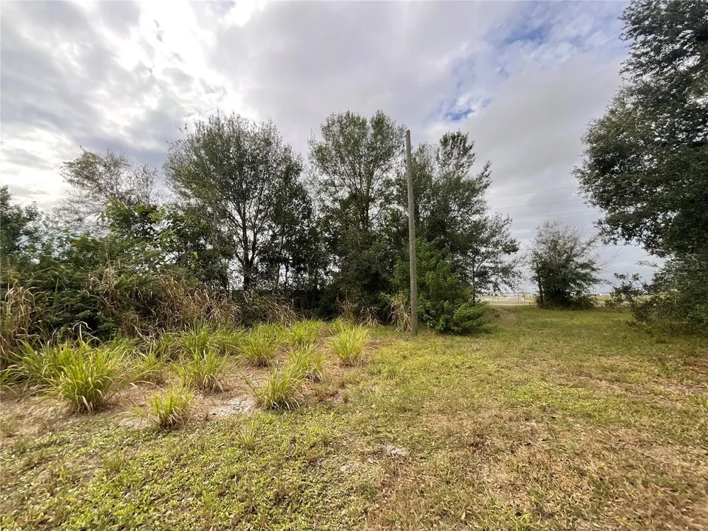 1701 SANFORD STREET Lake Wales, FL 33859