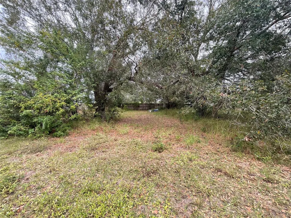 1701 SANFORD STREET Lake Wales, FL 33859