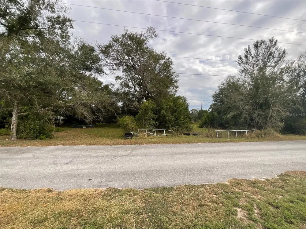 1701 SANFORD STREET Lake Wales, FL 33859