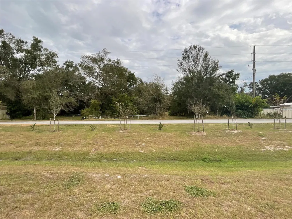 1701 SANFORD STREET Lake Wales, FL 33859