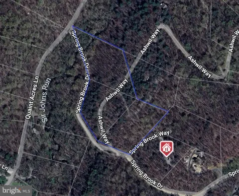 SPRINGBROOK DR
