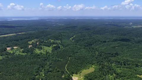 0 Cox Hollow