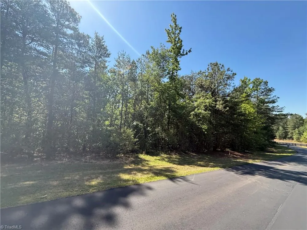 114 Lake View Pass Rockingham, NC 28379