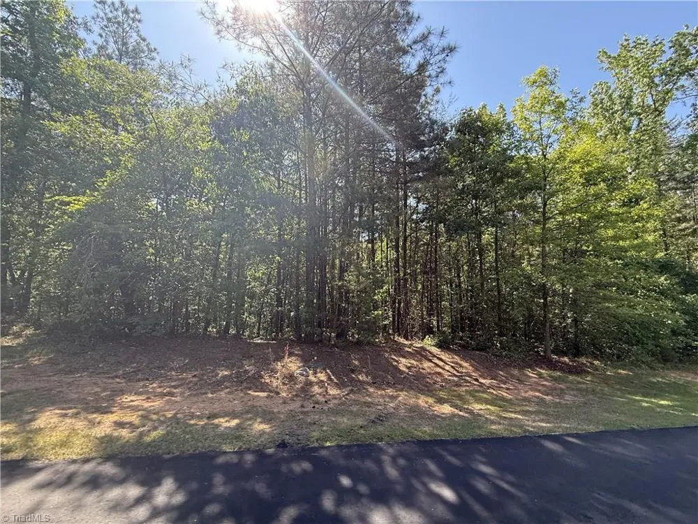 114 Lake View Pass Rockingham, NC 28379