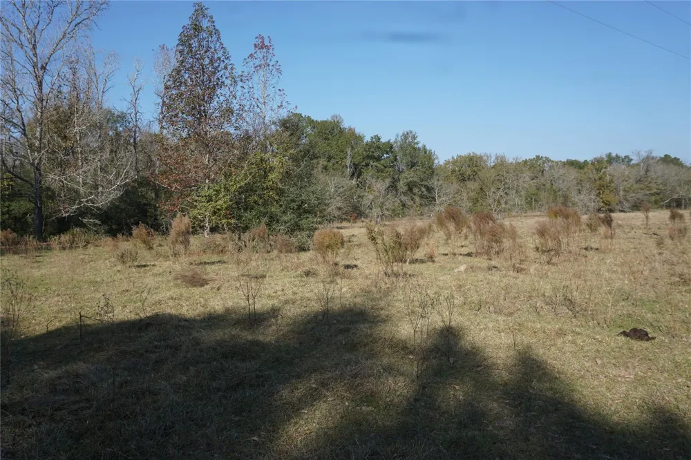 Bozeman Ferry Road Midway, TX 75852