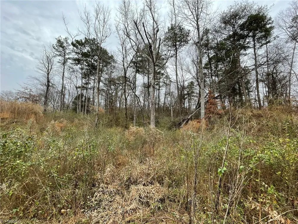TBD-000 E Main Street Elkin, NC 27041