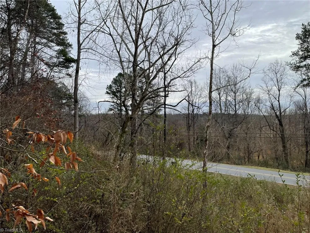TBD-000 E Main Street Elkin, NC 27041