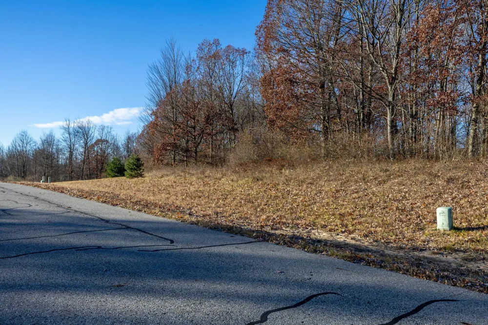 11549 Shamrock Court Stanwood, MI 49346
