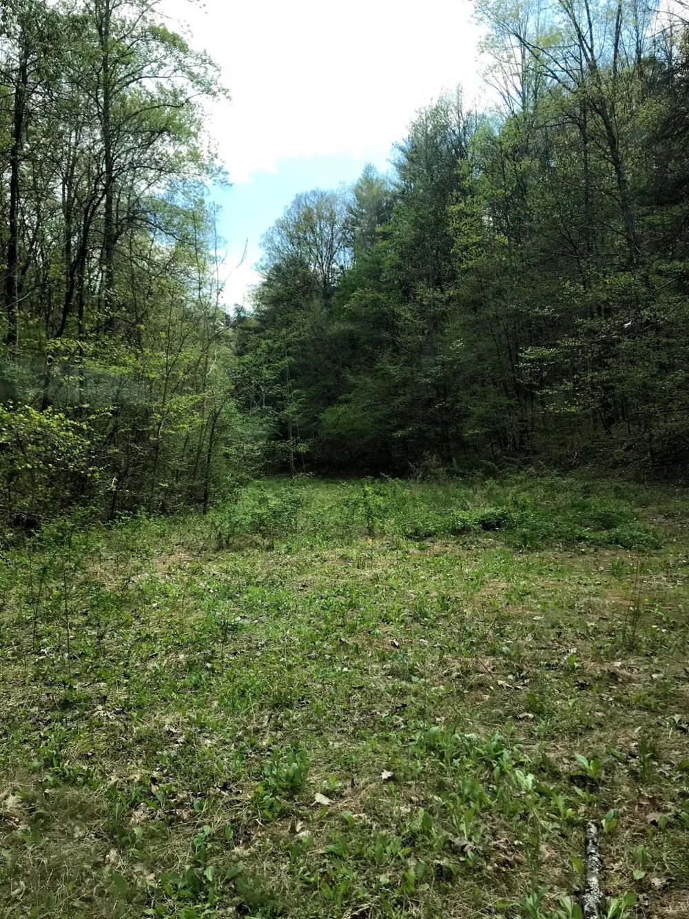Cane Creek Mtn. Road Tellico Plains, TN 37385