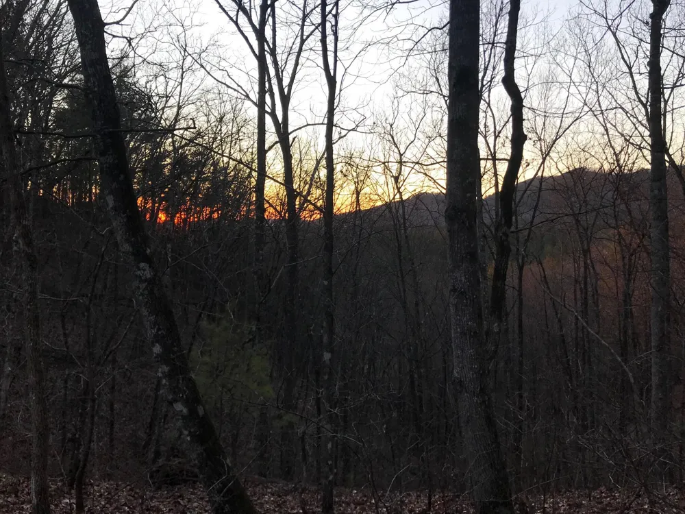 Cane Creek Mtn. Road Tellico Plains, TN 37385
