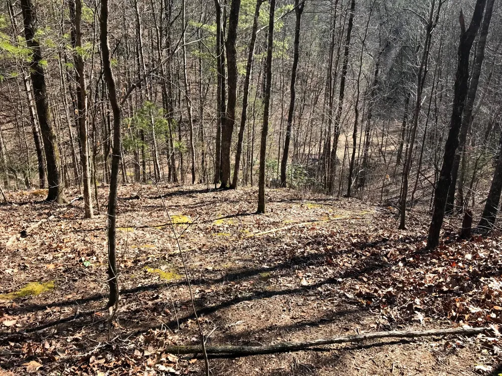Cane Creek Mtn. Road Tellico Plains, TN 37385
