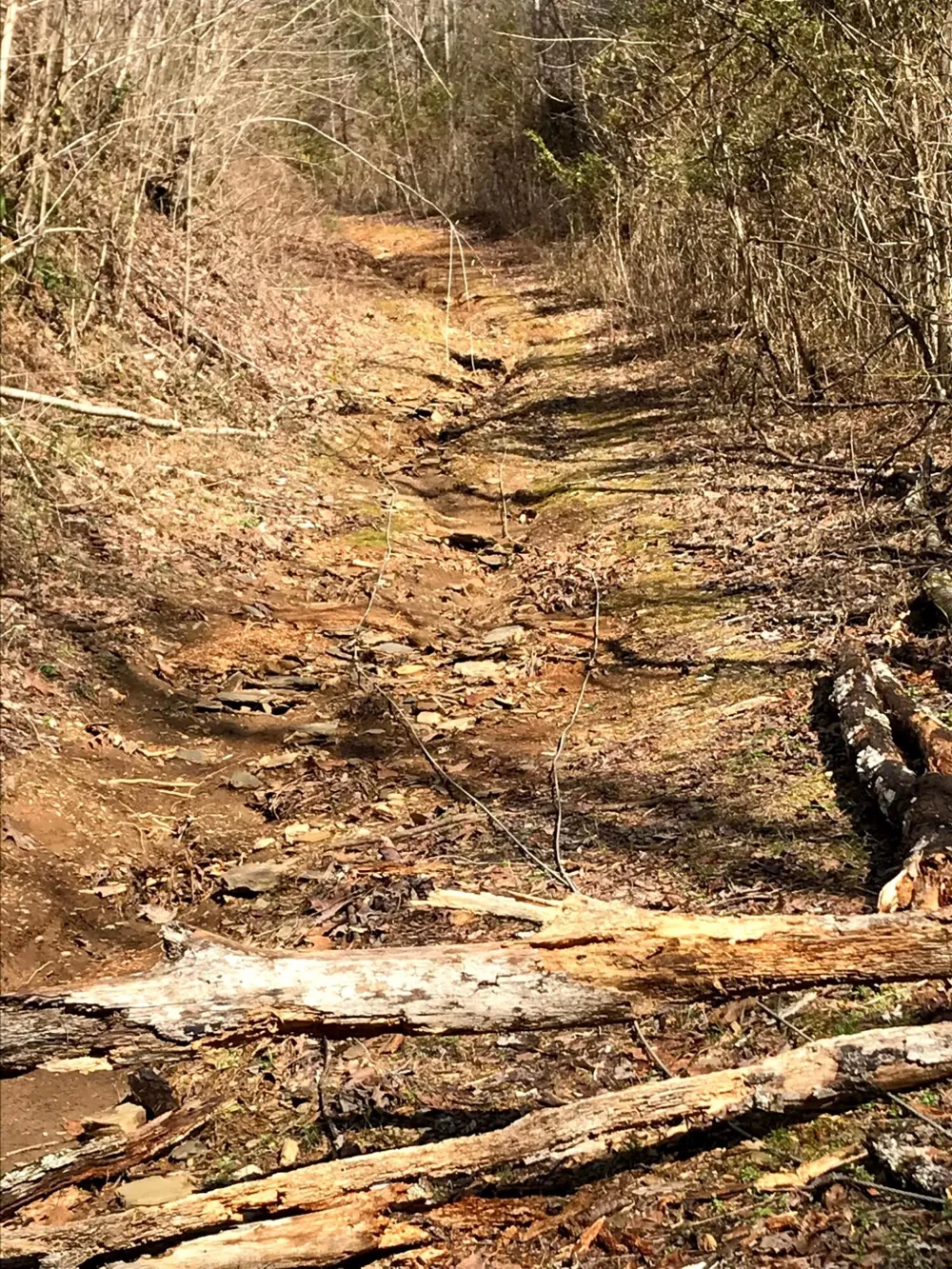 Cane Creek Mtn. Road Tellico Plains, TN 37385