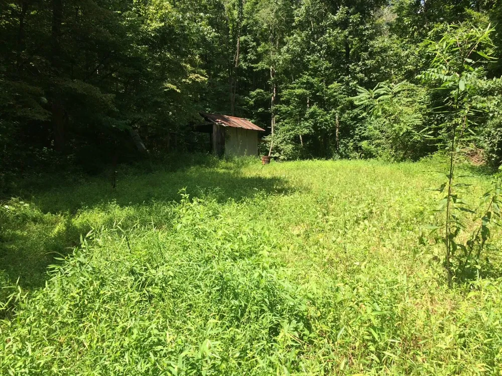 Cane Creek Mtn. Road Tellico Plains, TN 37385