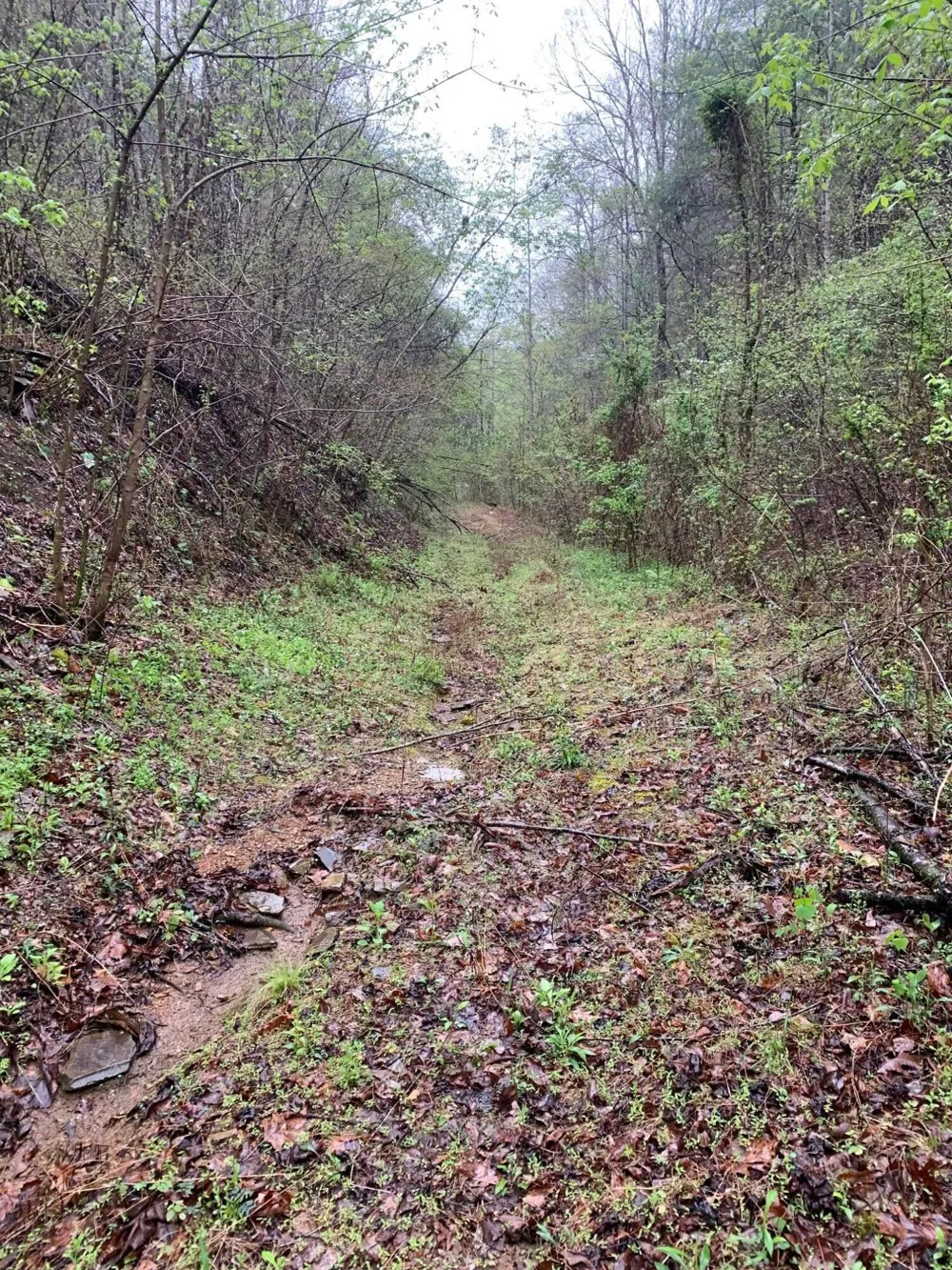Cane Creek Mtn. Road Tellico Plains, TN 37385