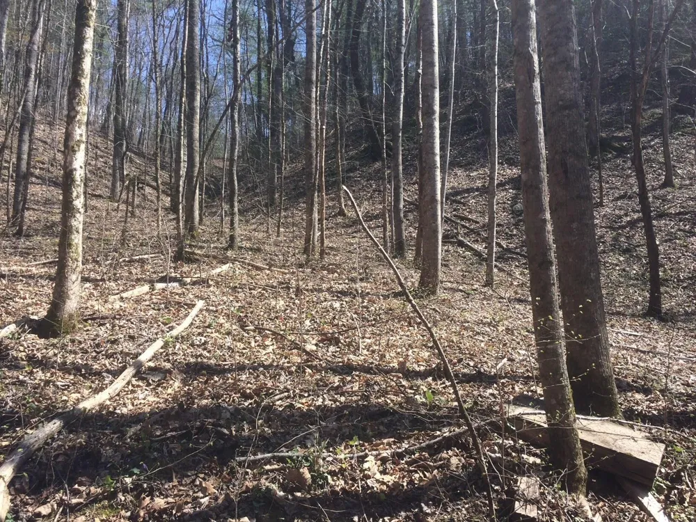 Cane Creek Mtn. Road Tellico Plains, TN 37385