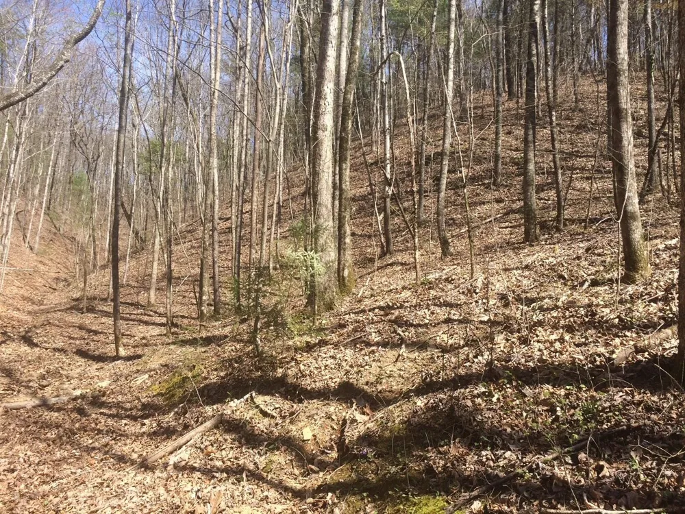 Cane Creek Mtn. Road Tellico Plains, TN 37385