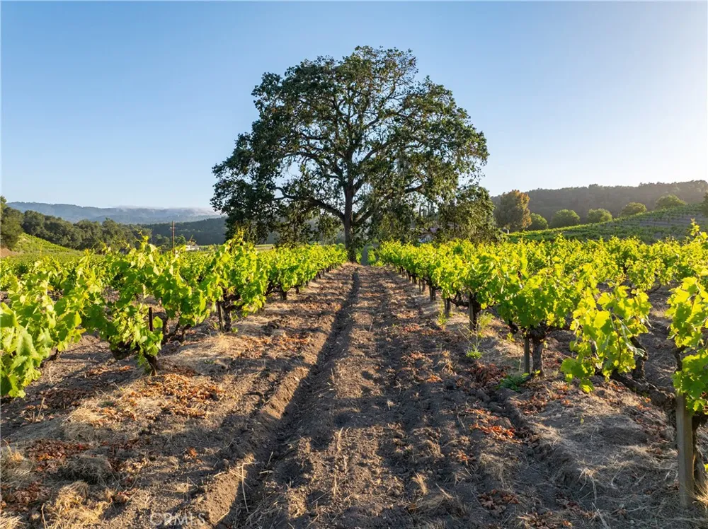 3750 W Highway 46 Templeton, CA 93465
