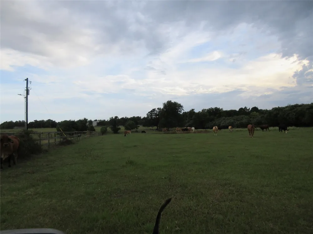 Clapp Pattison, TX 77423