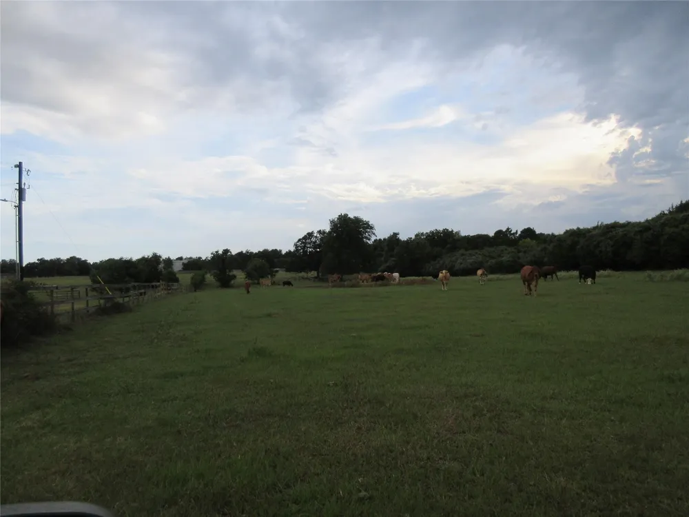Clapp Pattison, TX 77423