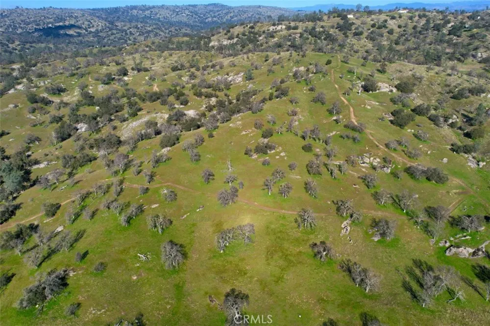 40461 Long Hollow Drive Coarsegold, CA 93614