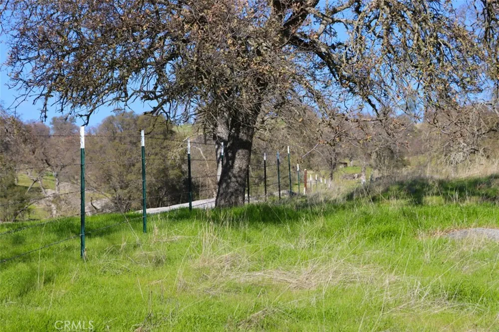 40461 Long Hollow Drive Coarsegold, CA 93614