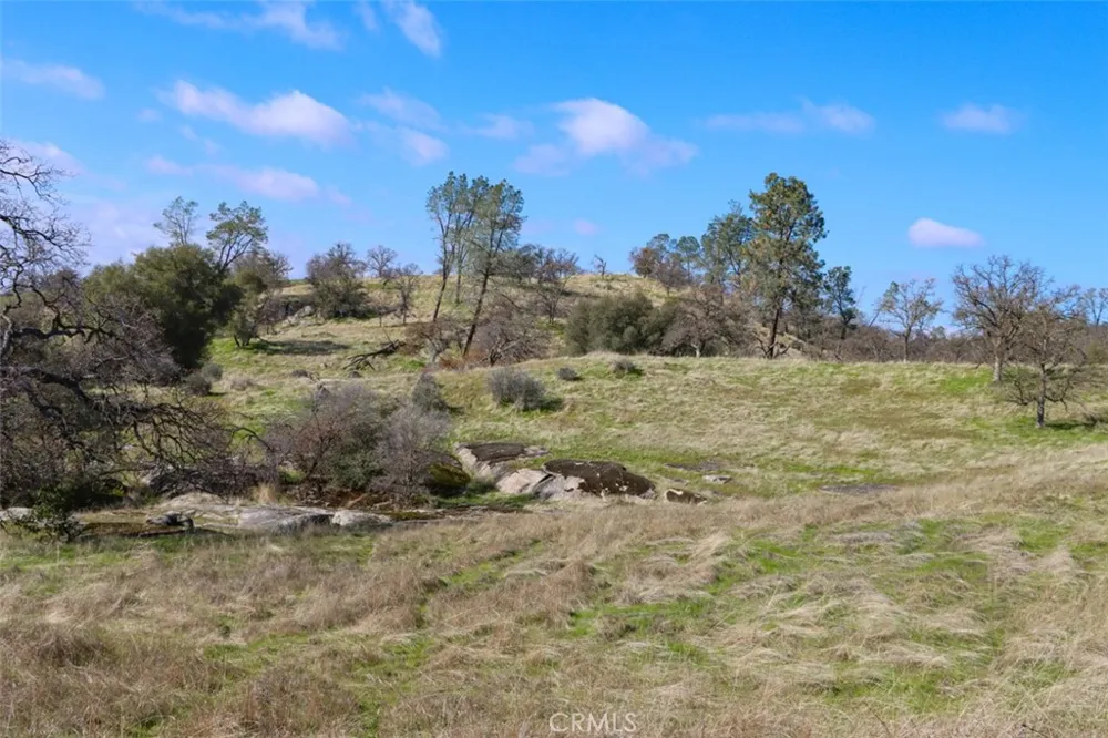 40461 Long Hollow Drive Coarsegold, CA 93614