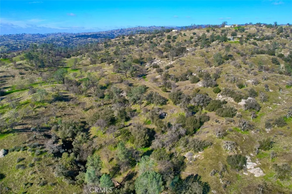 40461 Long Hollow Drive Coarsegold, CA 93614