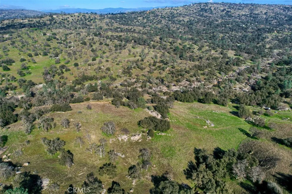 40461 Long Hollow Drive Coarsegold, CA 93614