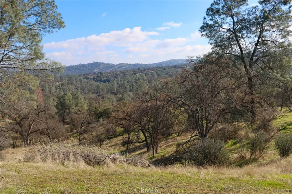 40461 Long Hollow Drive Coarsegold, CA 93614