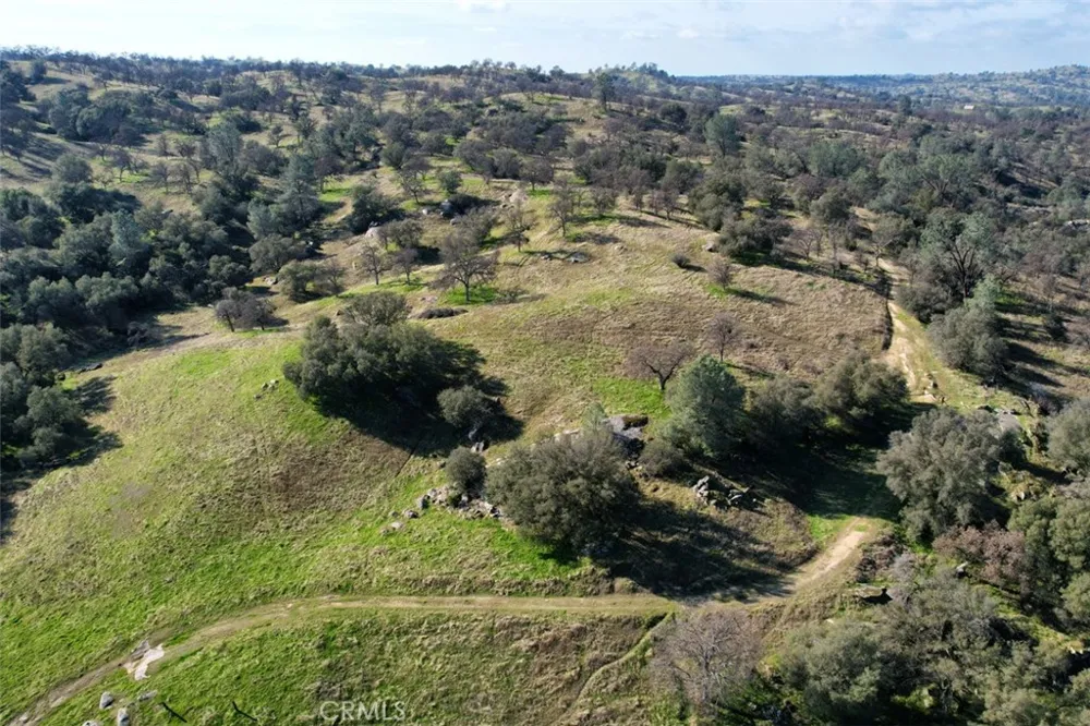 40461 Long Hollow Drive Coarsegold, CA 93614