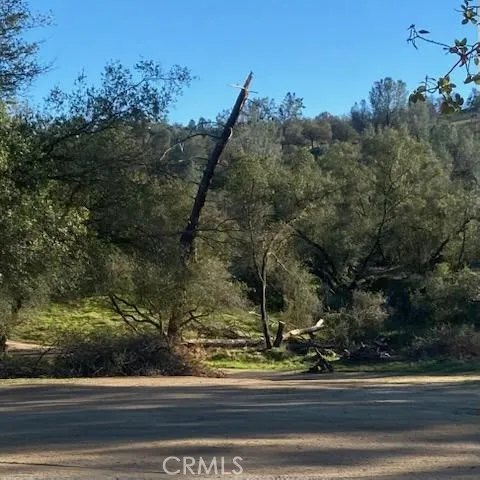 40461 Long Hollow Drive Coarsegold, CA 93614