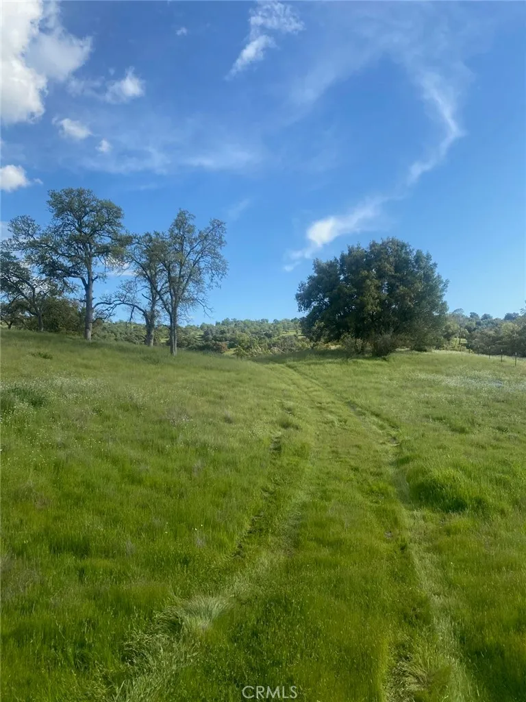 40461 Long Hollow Drive Coarsegold, CA 93614