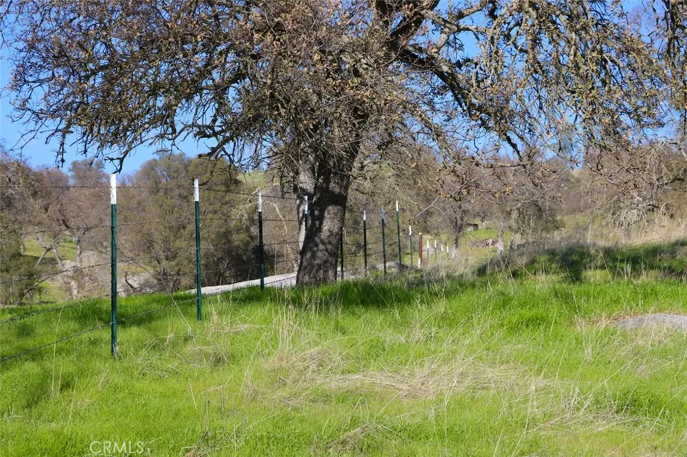 40461 Long Hollow Drive Coarsegold, CA 93614