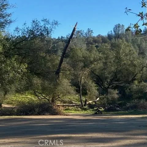 40461 Long Hollow Drive Coarsegold, CA 93614