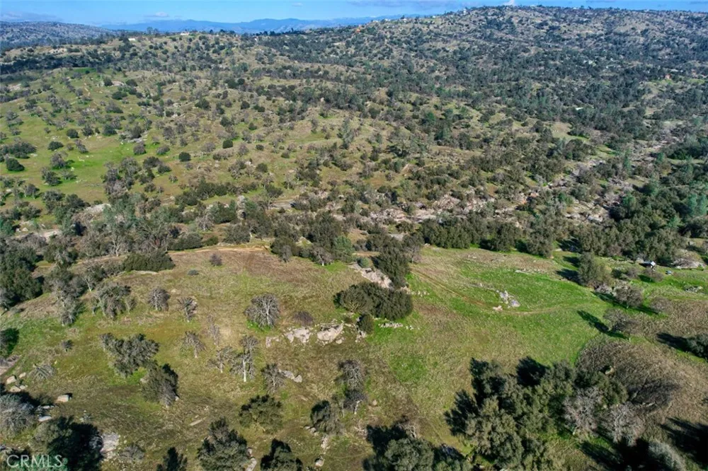 40461 Long Hollow Drive Coarsegold, CA 93614