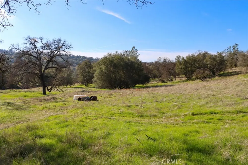 40461 Long Hollow Drive Coarsegold, CA 93614