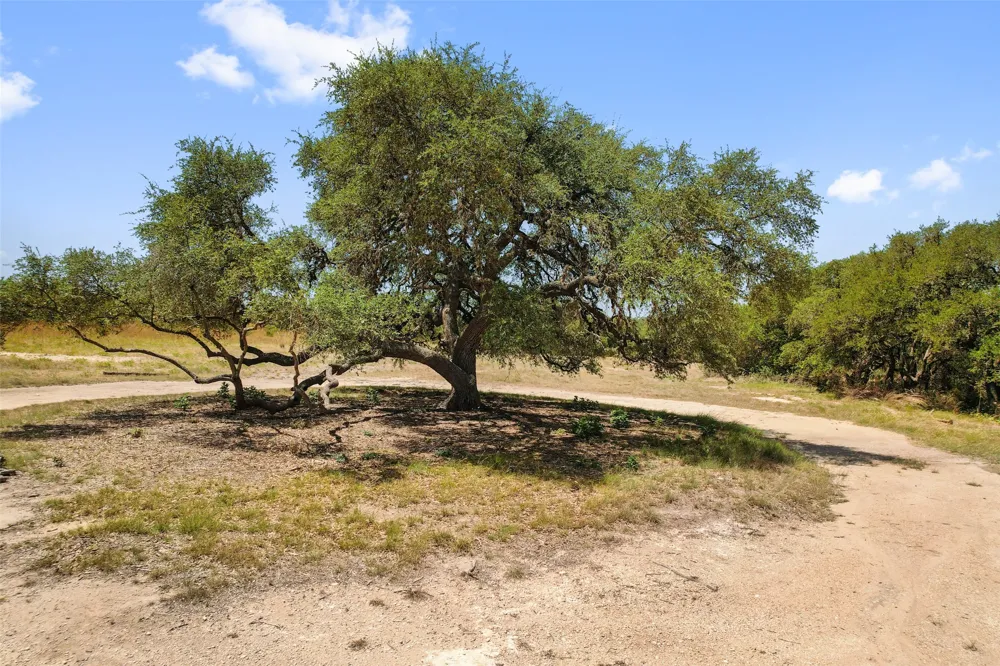 140 Lantana Drive Johnson City, TX 78636
