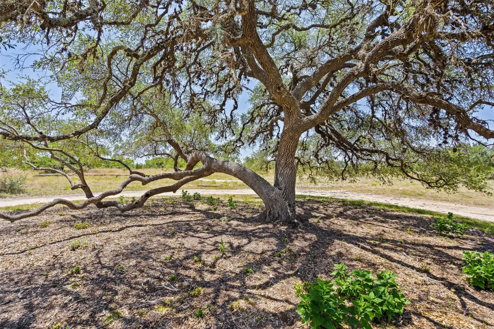 140 Lantana Drive Johnson City, TX 78636