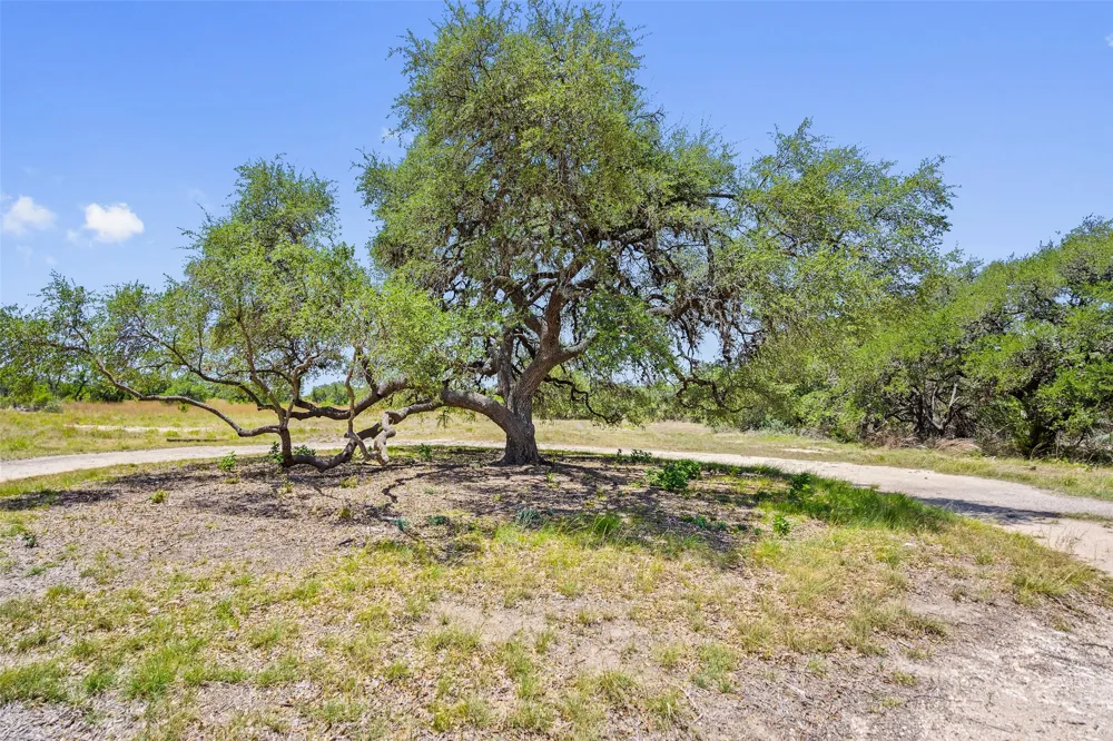 140 Lantana Drive Johnson City, TX 78636