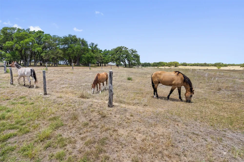 140 Lantana Drive Johnson City, TX 78636