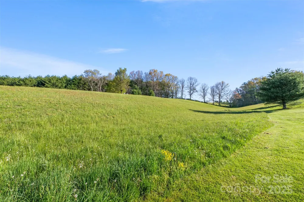TBD (Lot 29) Pond View Lane #29 Sparta, NC 28675