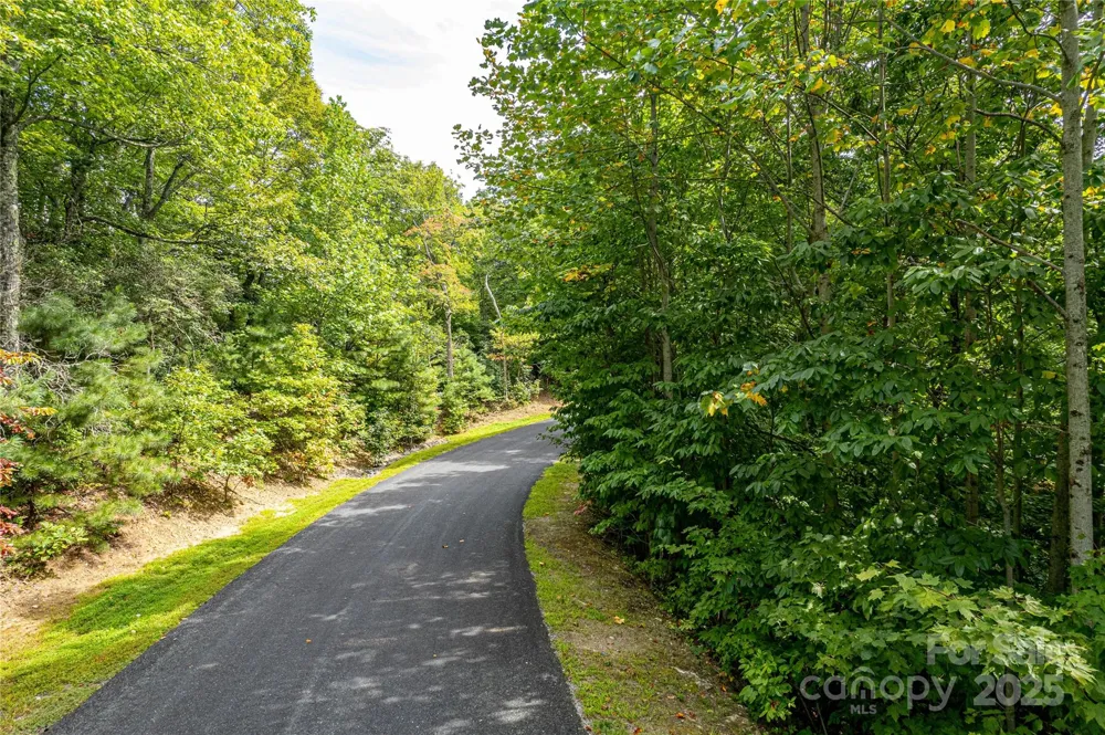 579 Bluemist Way Arden, NC 28704