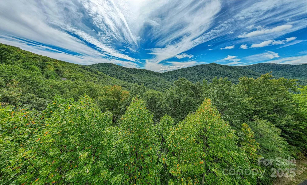 579 Bluemist Way Arden, NC 28704